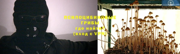 ALPHA PVP Касимов