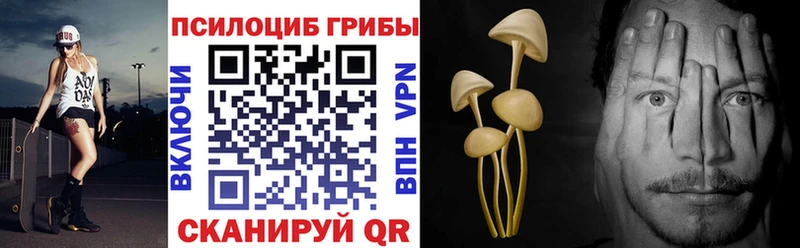 Купить где  Оленегорск  Галлюциногенные грибы Psilocybine cubensis 